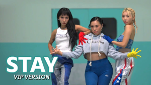 Stayvip_cover